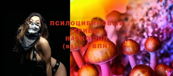 ГАЛЛЮЦИНОГЕННЫЕ ГРИБЫ Краснослободск